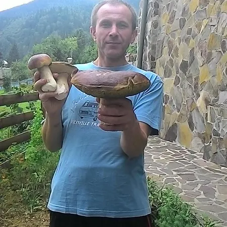 ,,тік